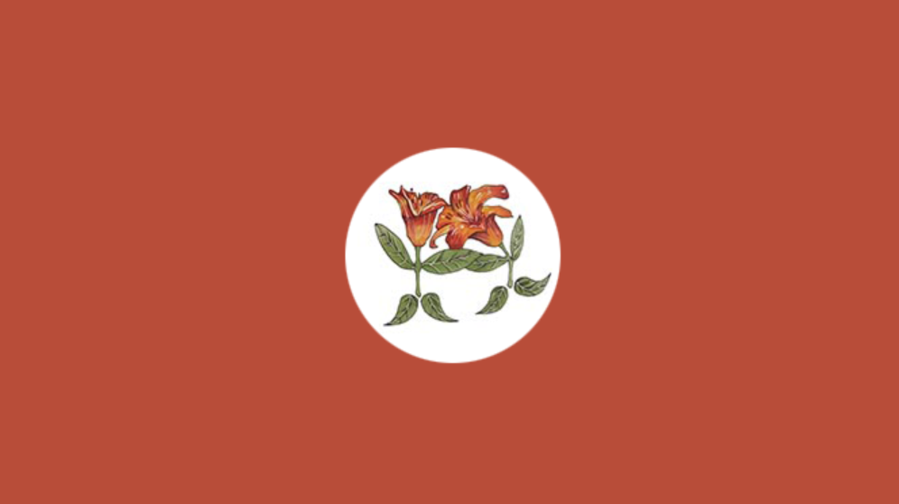 青島萱草咨詢(xún)小程序定制開(kāi)發(fā)